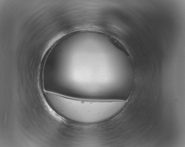 X0000077411139200610201415