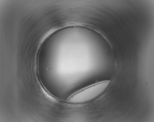 X0000077411143200610201415