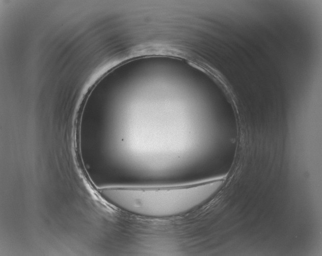 X0000077411144200610201415