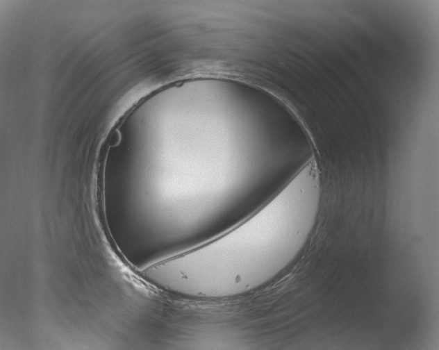 X0000077411147200610201415