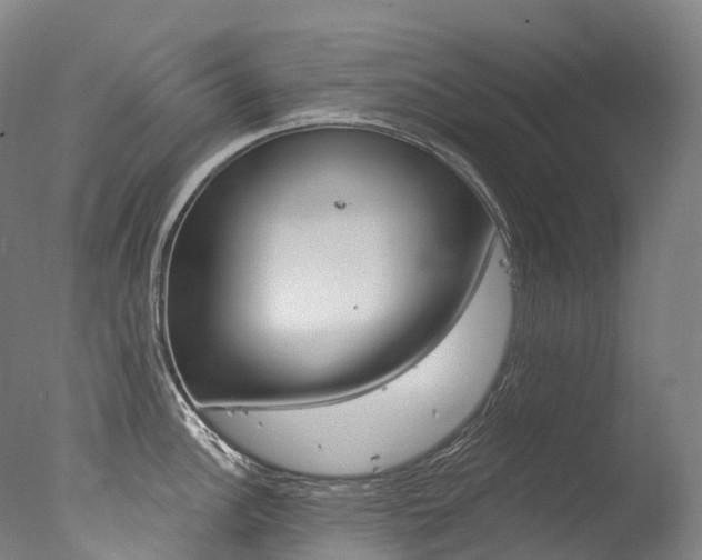 X0000077411148200610201415