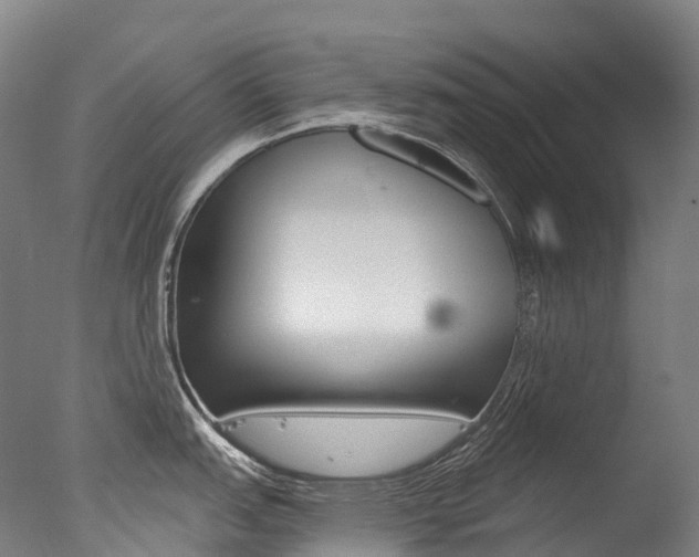 X0000077411151200610201415