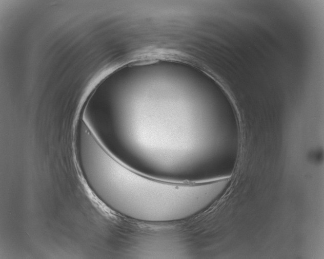 X0000077411152200610201415