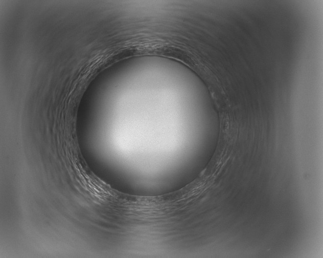 X0000077411153200610201414