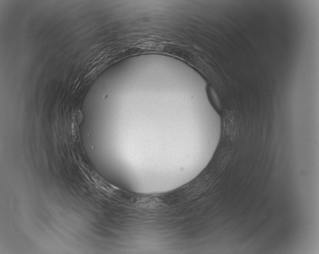 X0000077411154200610201414