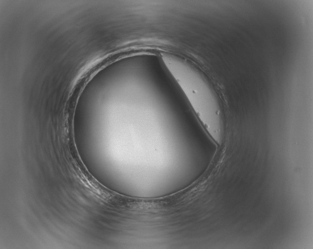 X0000077411164200610201414