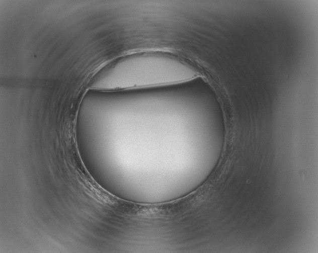 X0000077411169200610201414
