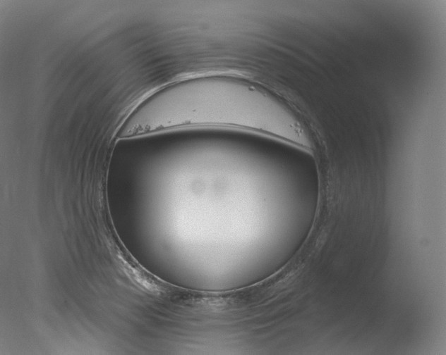 X0000077411177200610201414
