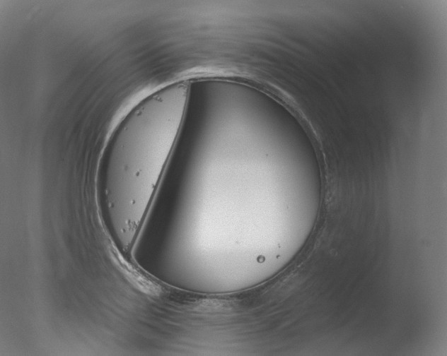 X0000077411179200610201414