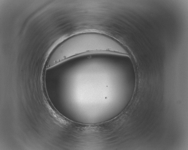 X0000077411181200610201414