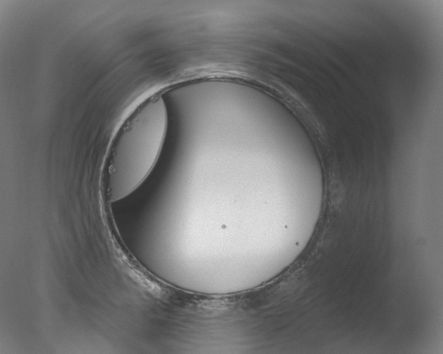 X0000077411182200610201414