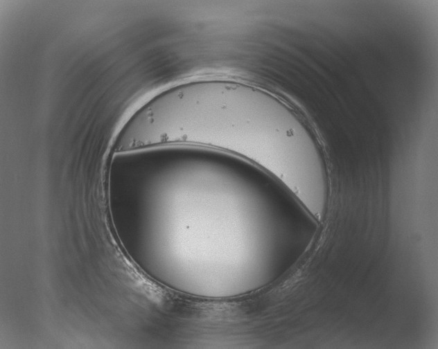 X0000077411192200610201414