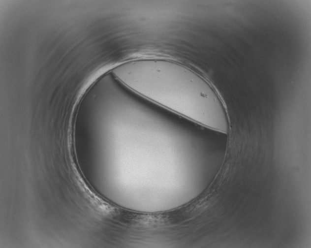 X0000077411195200610201414