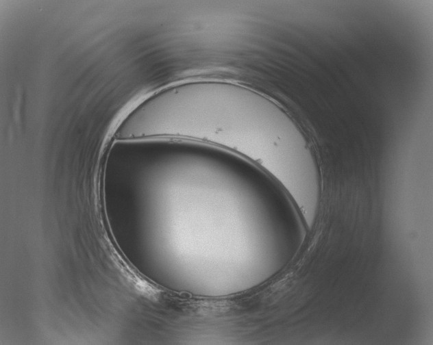 X0000077411196200610201414