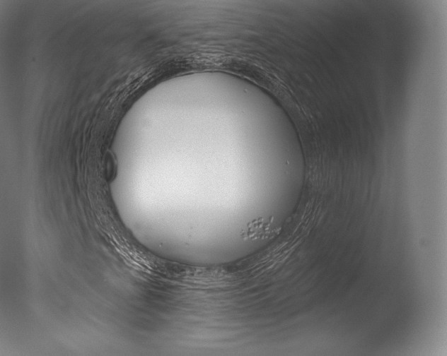 X0000077411201200610201413