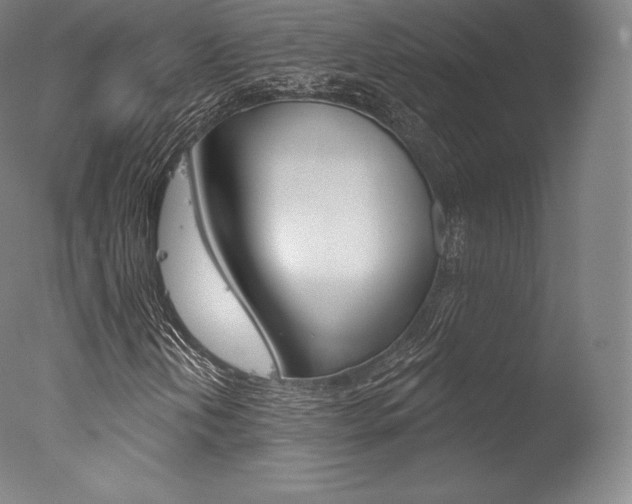 X0000077411202200610201413