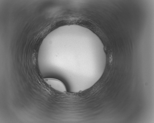 X0000077411204200610201413