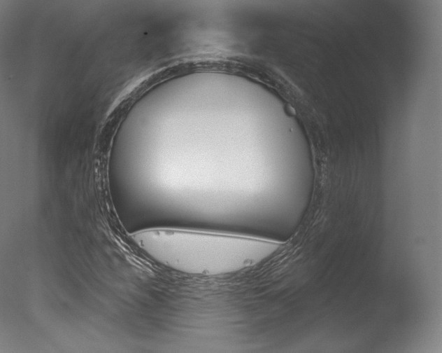 X0000077411208200610201413