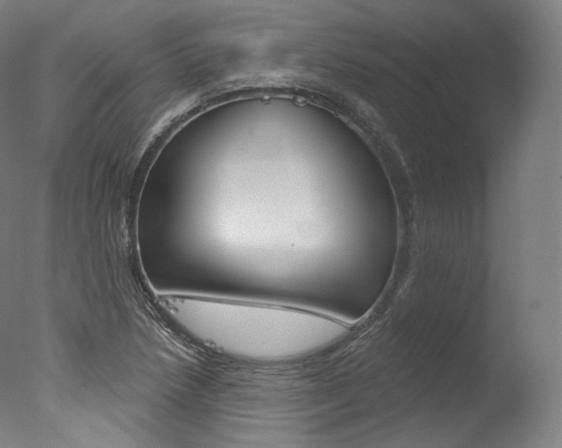 X0000077411218200610201413