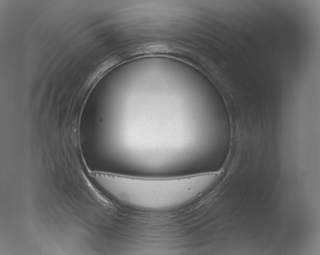 X0000077411225200610201413