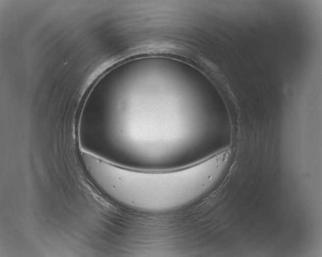 X0000077411226200610201413