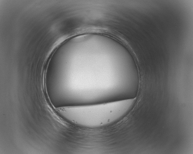 X0000077411227200610201413