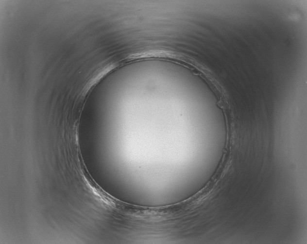 X0000077411241200610201413