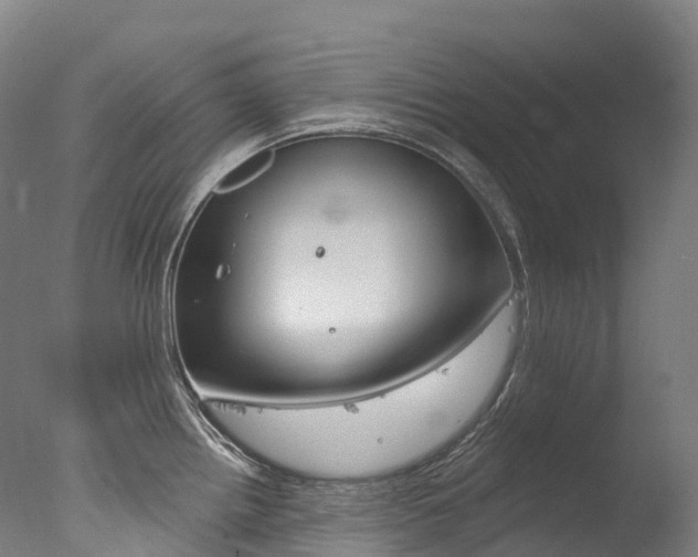 X0000077411242200610201413