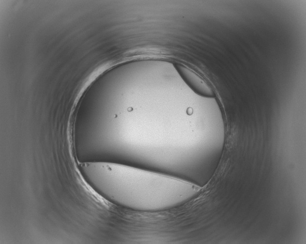 X0000077411243200610201413