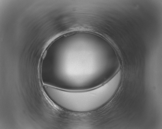 X0000077411246200610201414