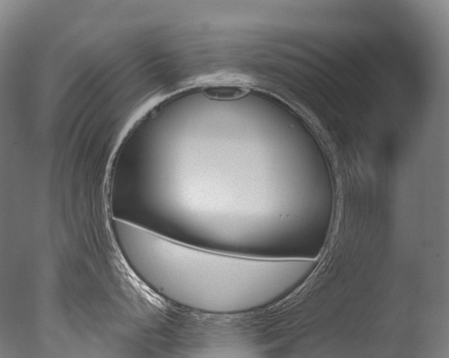 X0000077411248200610201414