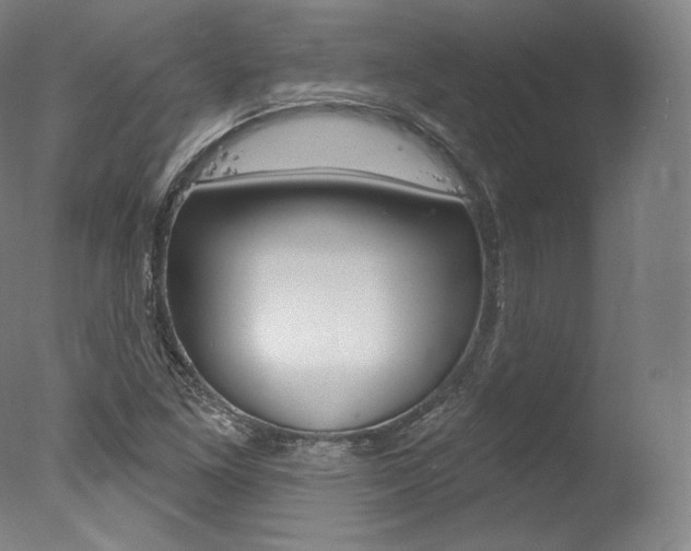 X0000077411261200610201413