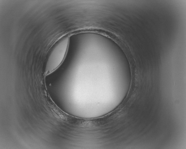 X0000077411265200610201412