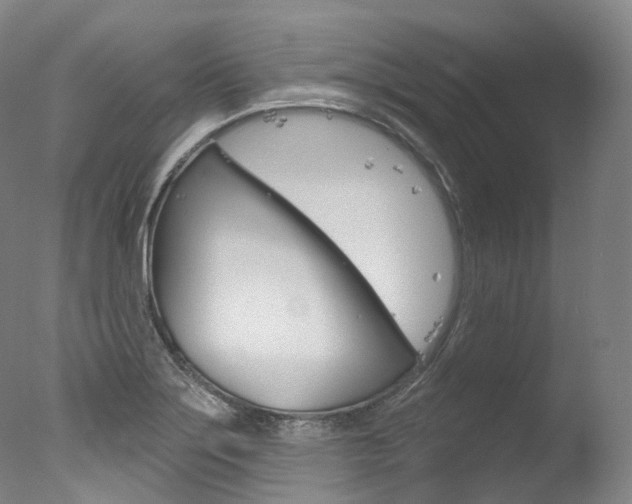 X0000077411275200610201412