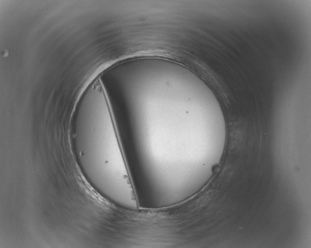 X0000077411284200610201412