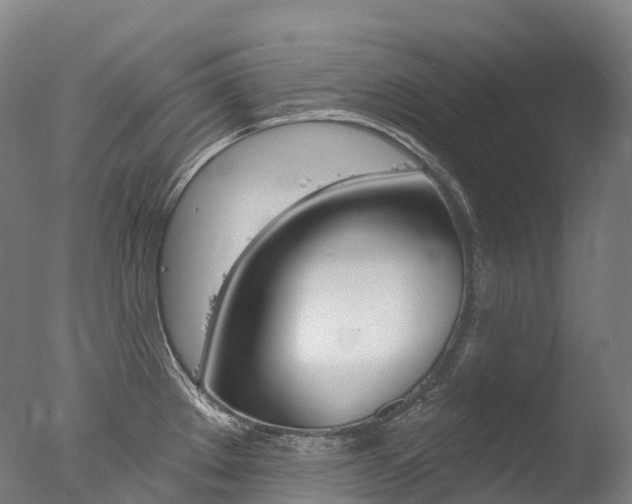 X0000077411289200610201412