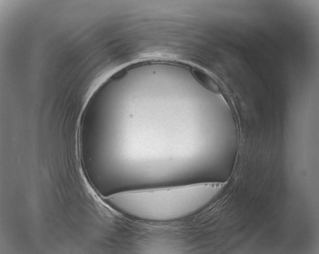 X0000077411295200610201412