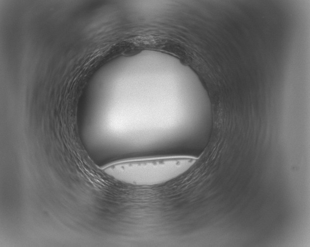 X0000077411297200610201411