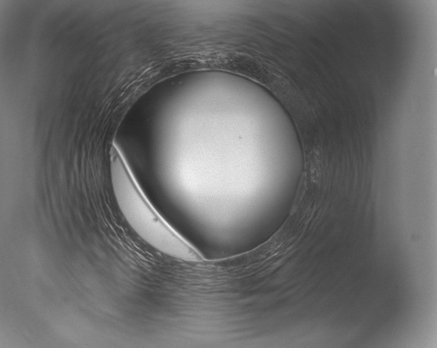 X0000077411298200610201411