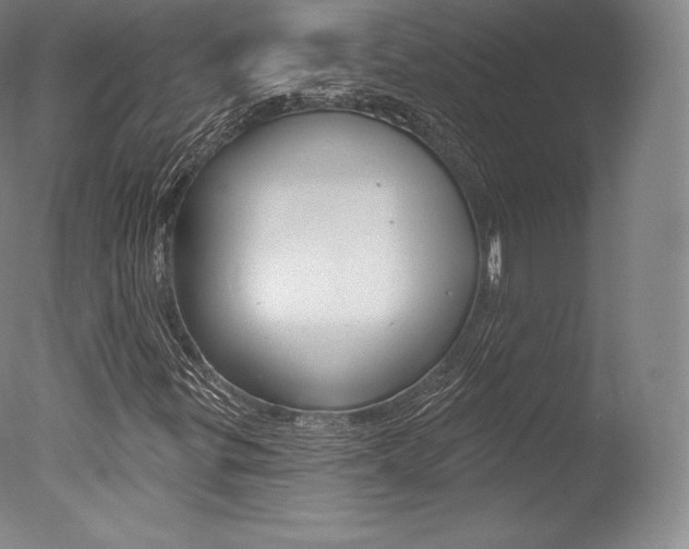 X0000077411299200610201411