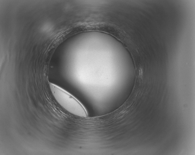 X0000077411300200610201411