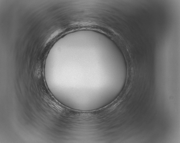 X0000077411306200610201411