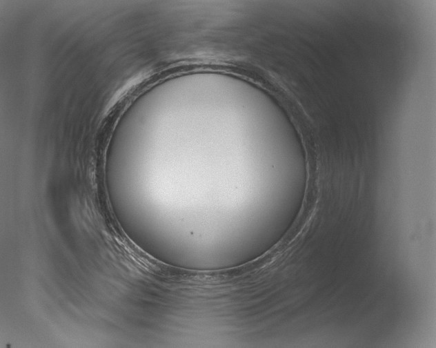 X0000077411307200610201411
