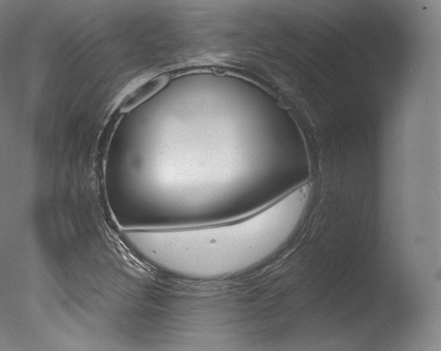 X0000077411308200610201411