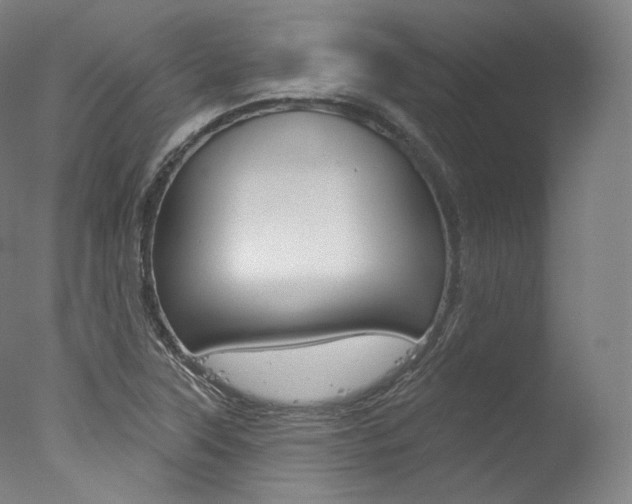 X0000077411315200610201411