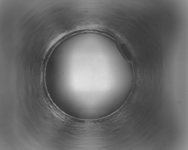 X0000077411316200610201411