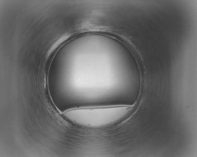 X0000077411317200610201411