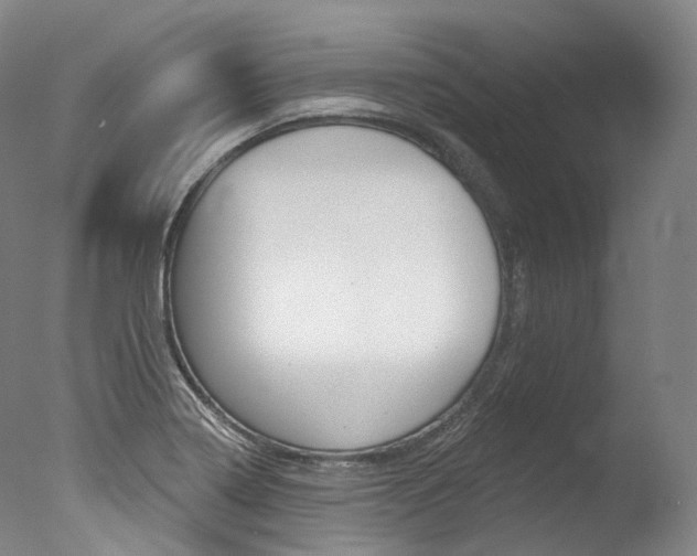 X0000077411322200610201412