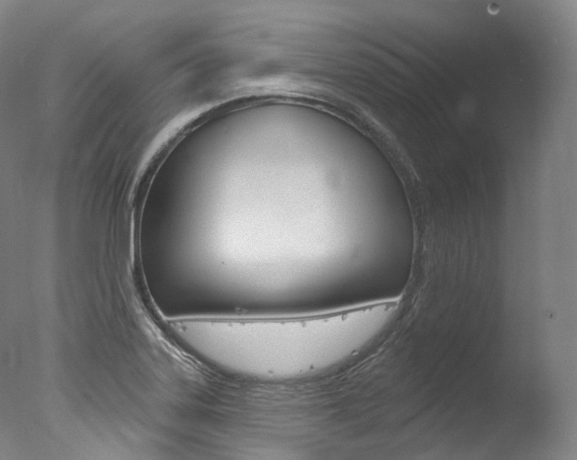 X0000077411323200610201412
