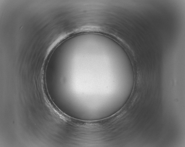 X0000077411325200610201412